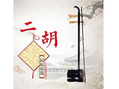 招聘崇左二胡家教老师